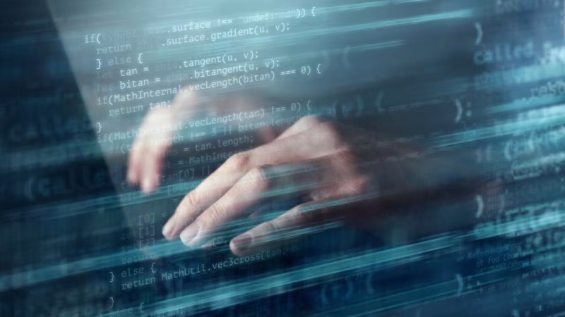 软件开发